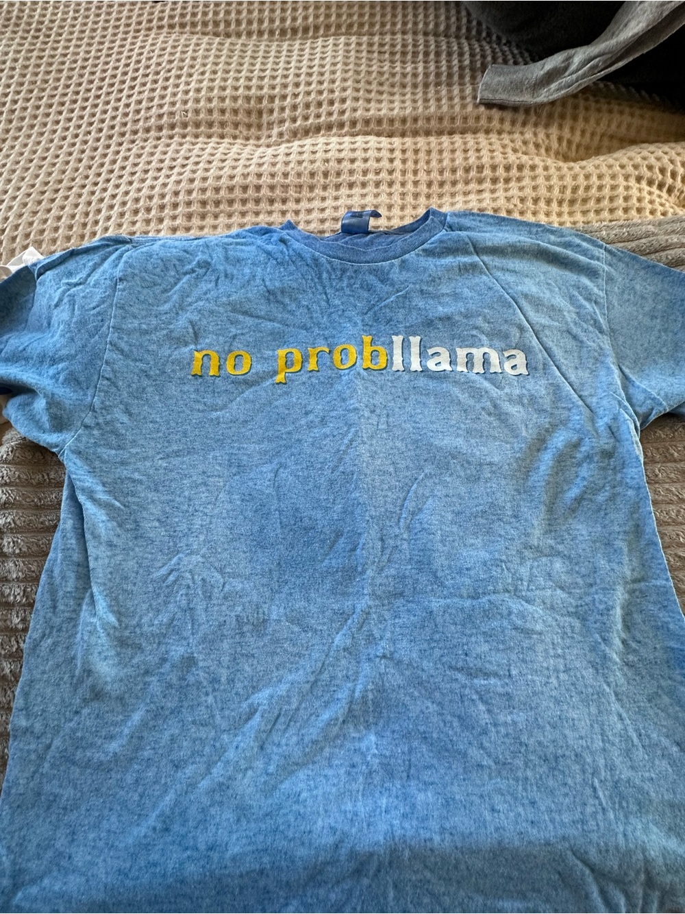 No Probllama Graphic Tee - Blue Short Sleeve Shirt